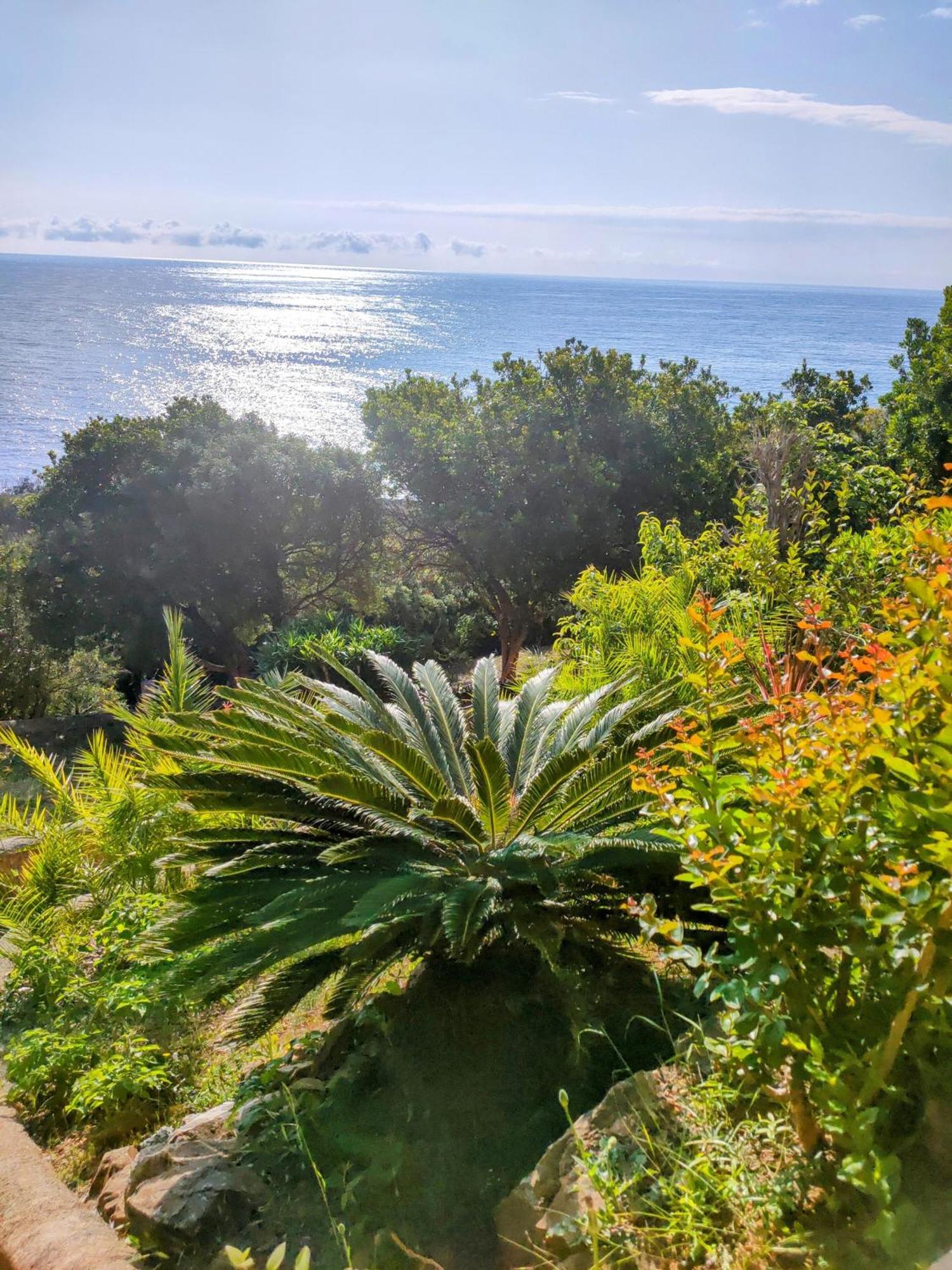 Studio Vue Sur Mer Conca Eksteriør bilde