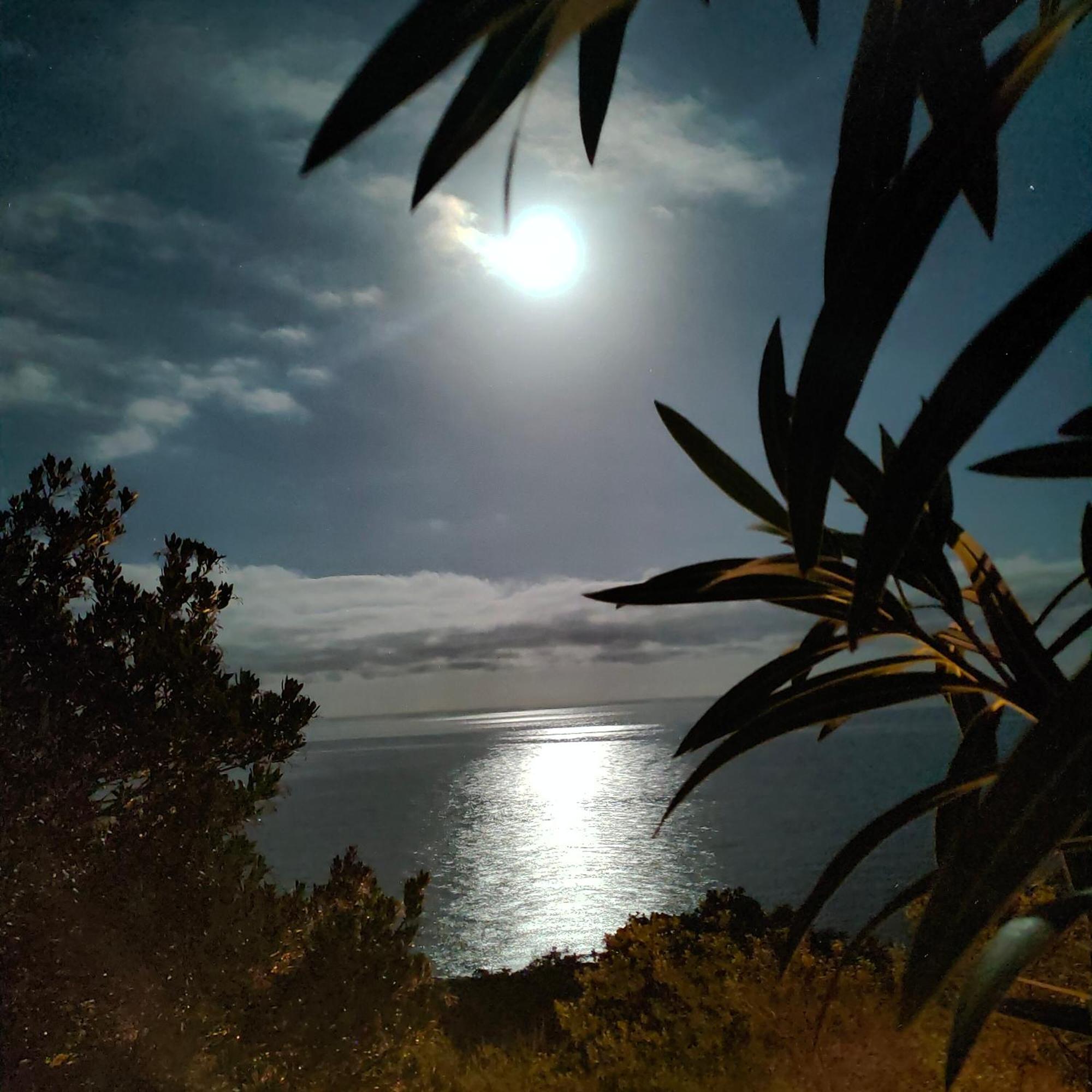 Studio Vue Sur Mer Conca Eksteriør bilde