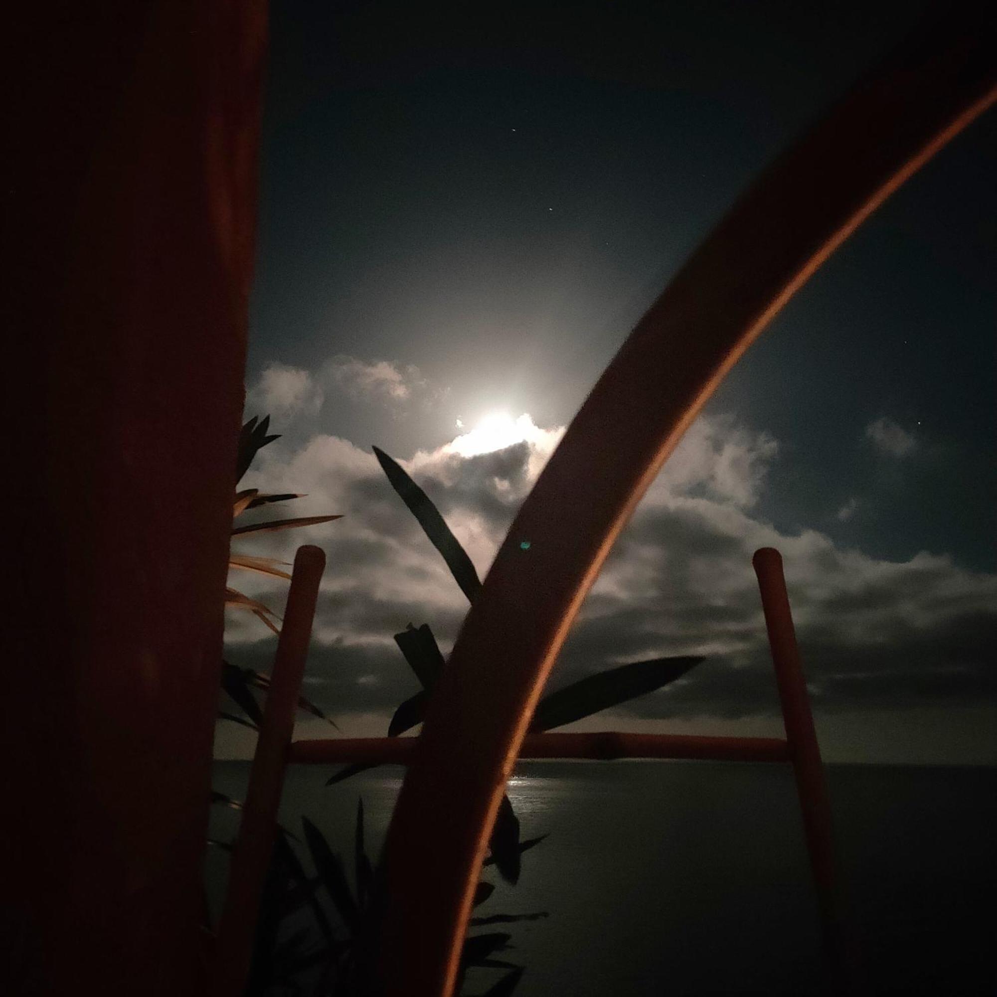 Studio Vue Sur Mer Conca Eksteriør bilde