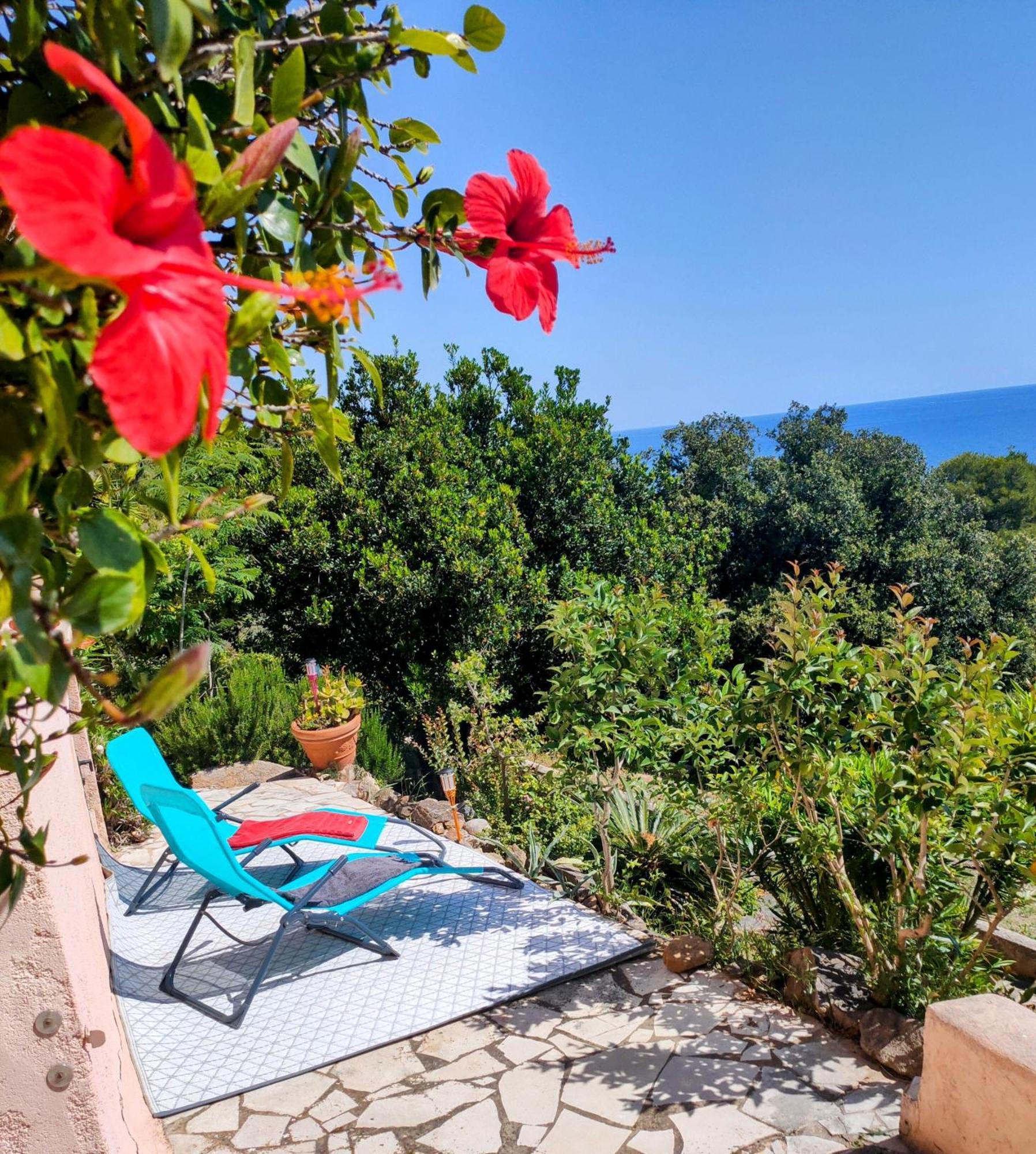 Studio Vue Sur Mer Conca Eksteriør bilde