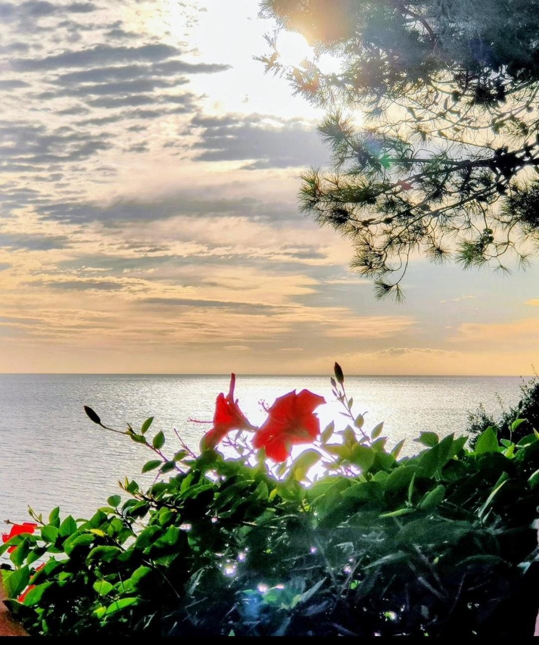 Studio Vue Sur Mer Conca Eksteriør bilde
